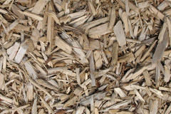 biomass boilers Pantmawr
